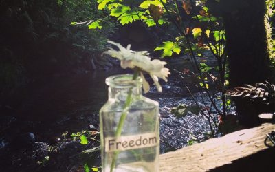 Freedom + Alchemy